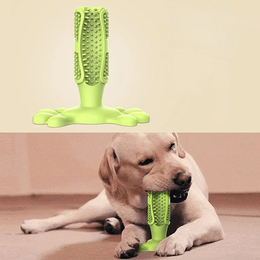 Puppy Durable Chew Toy