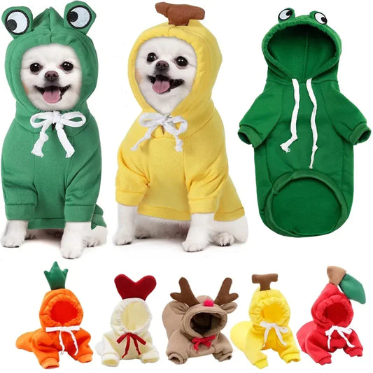 Dog Winter Clothes